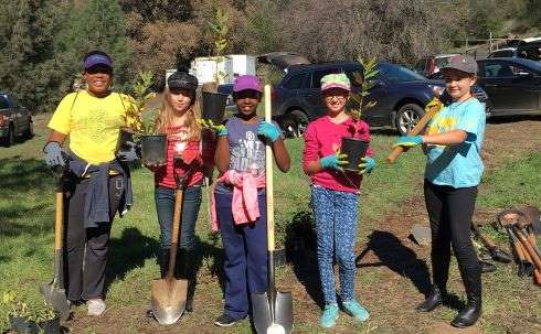 Teaching kids to plant