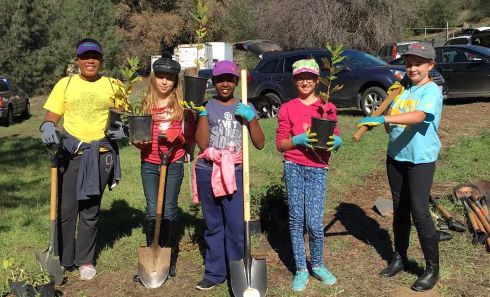 Kids Planting Trees
