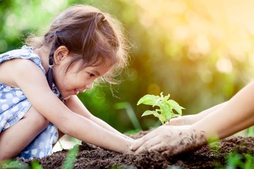 Girl learning to plant