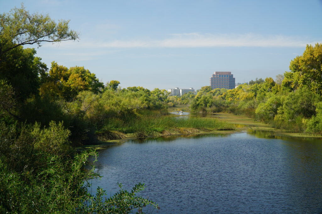 Kayakers in the distance on the San Diego River, as it passes through Mission Valley