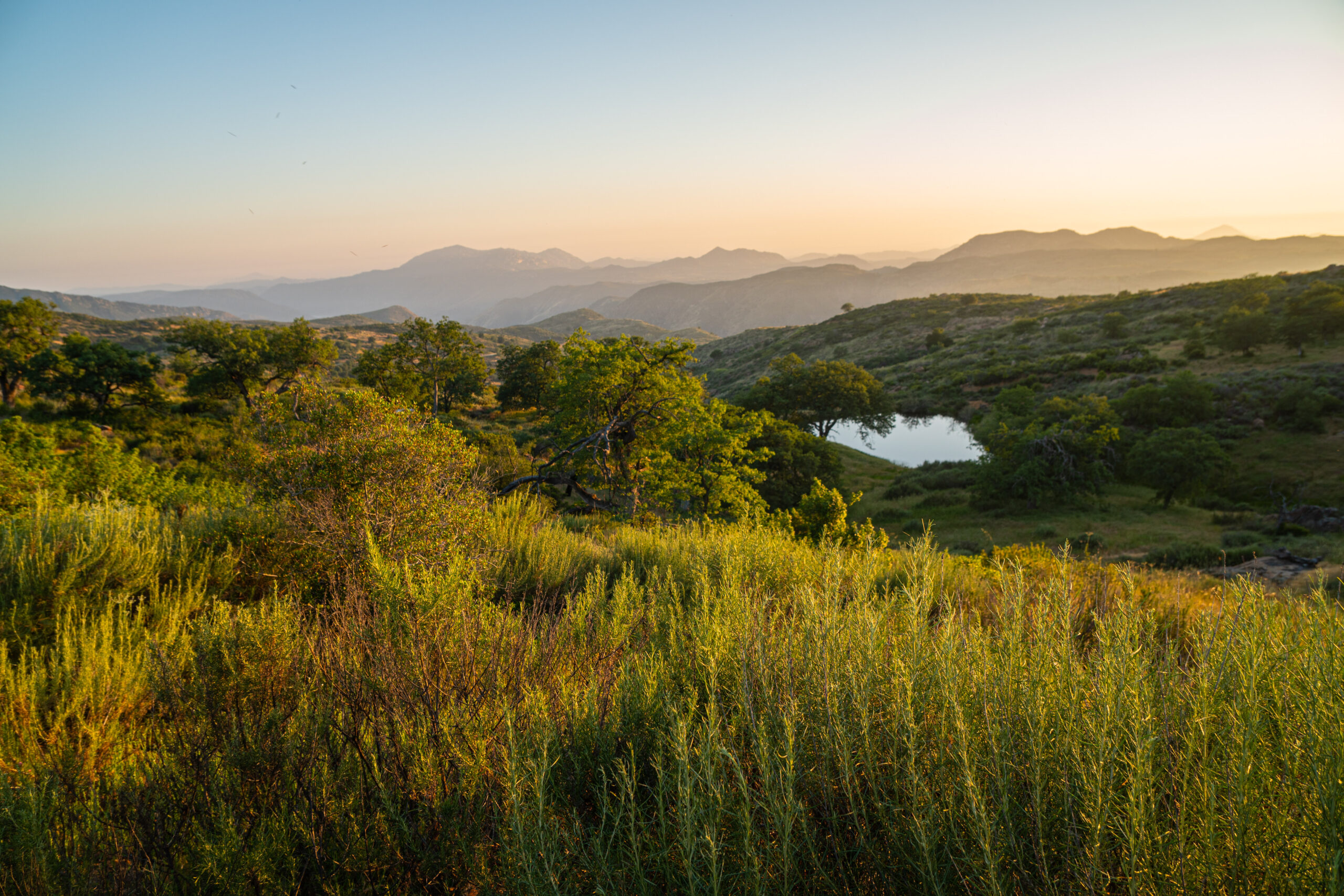 Tall grass and rolling hills, with a view of the river and mountains in the background