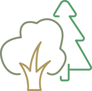 Illustration of trees