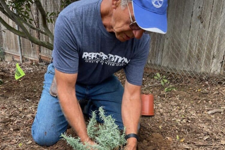 Al planting a native plannt