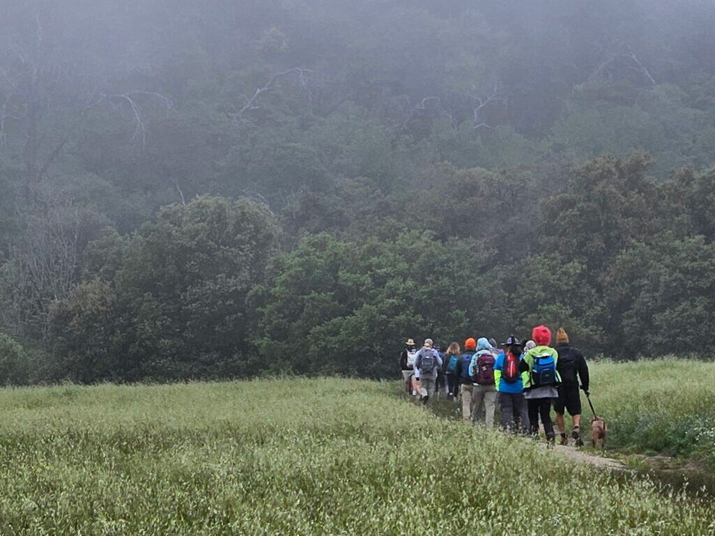 9010981638209110347 (1)