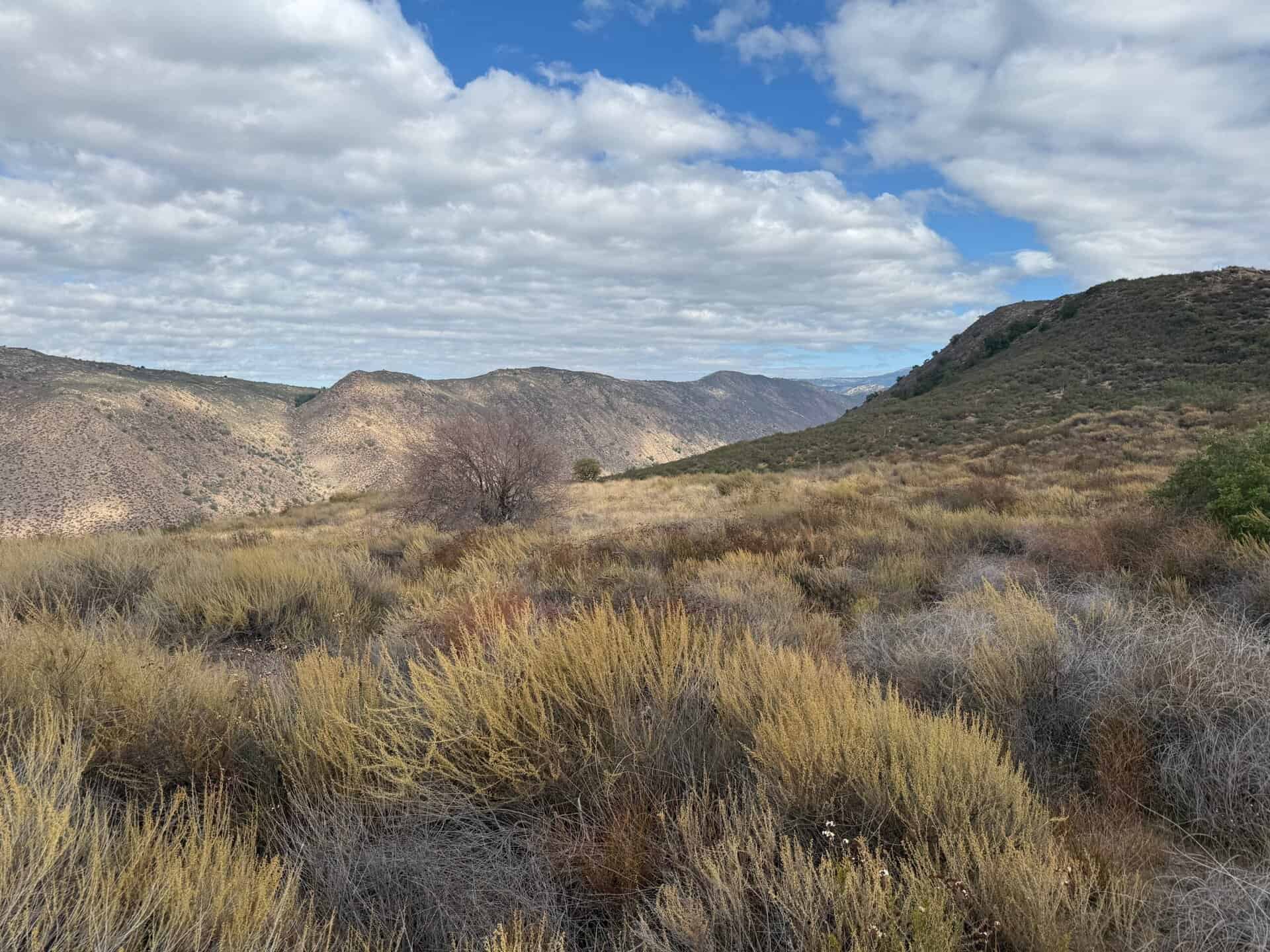 Image of wildlife area that will be saved