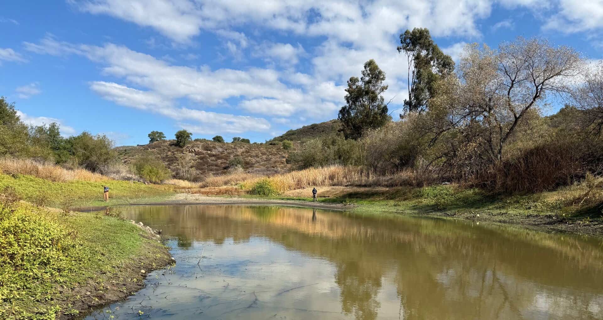 image of segment of Ritchie Creek on property