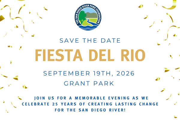 Fiesta Save The Date