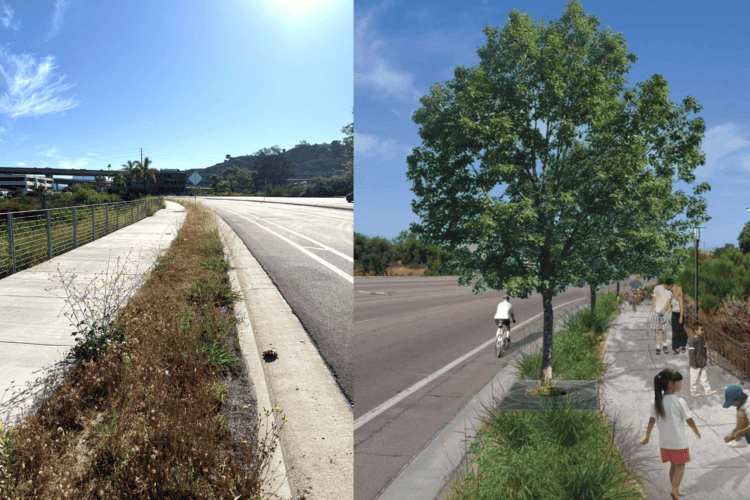 StreetTrees