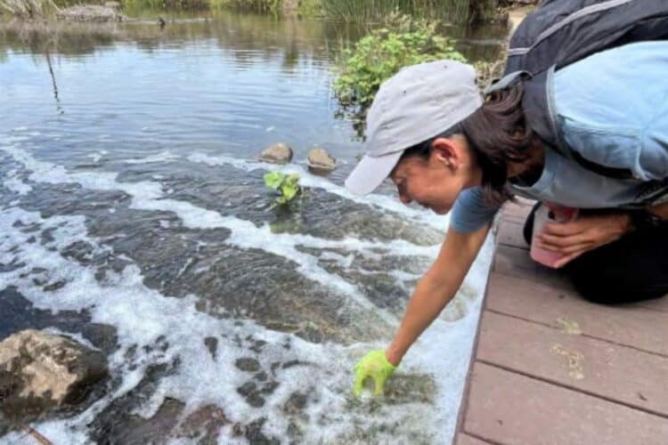 woman getting river sample