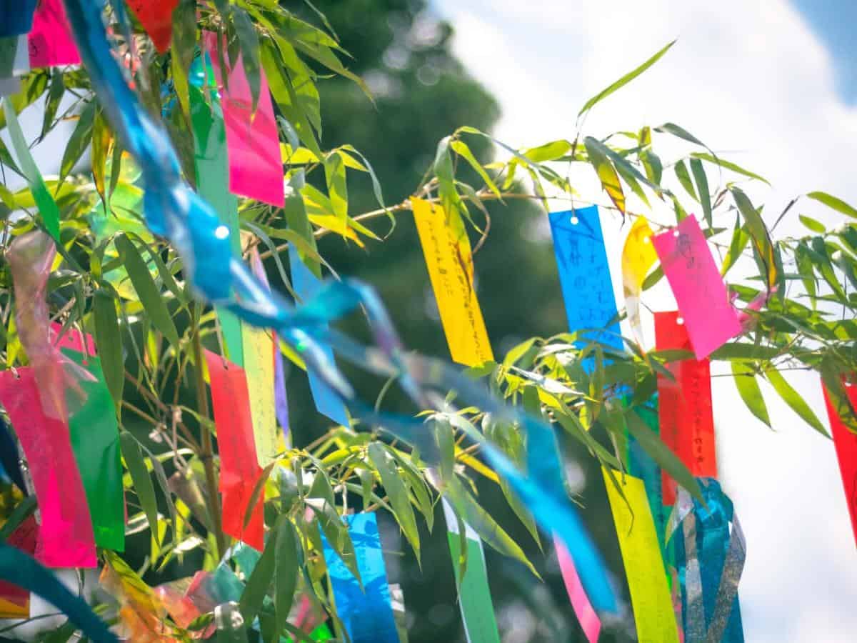 Tanabata (1) 1200x900