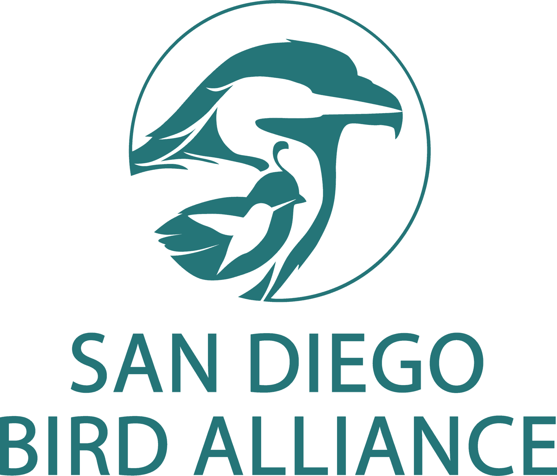 SDBA Logo Stacked Teal