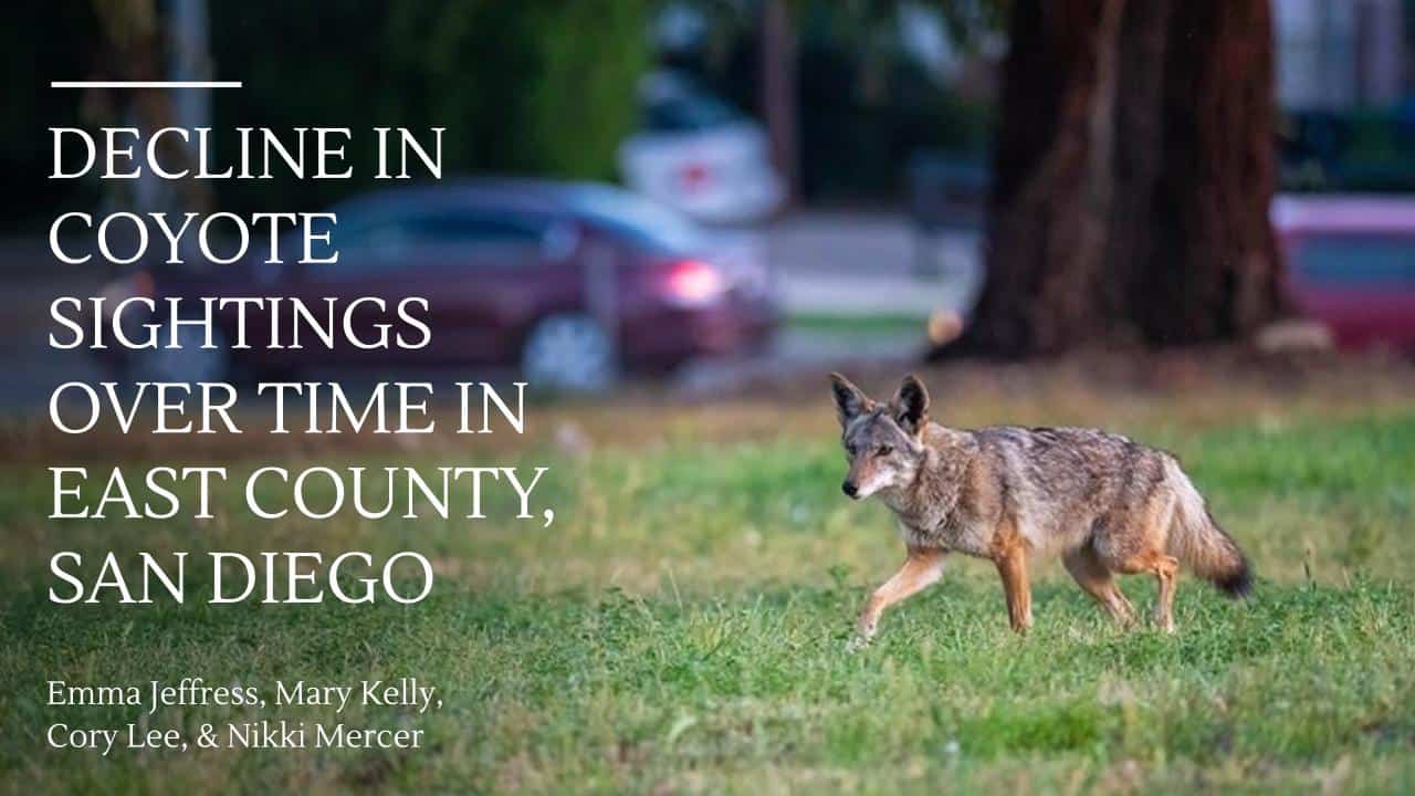Final Presentation Coyote Sightings Pptx