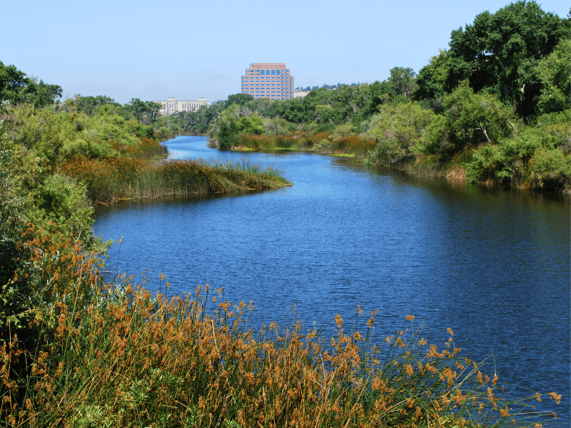 photo of the river