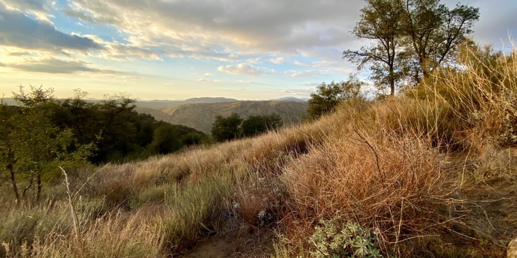 A hillside in the South Rim set against a golden-blue sky and light clouds