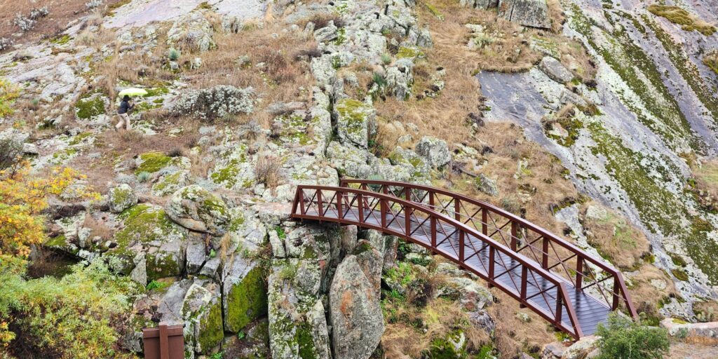 A view of a bridge and foliage at the Eagle Peak Ranch Preserve