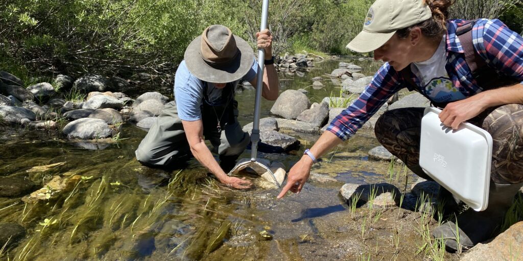 Bioassessment Team members collect water samples to learn more about the biology of the waterways.