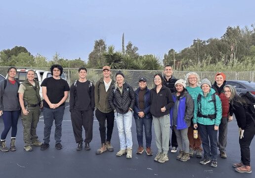 Screenshot 2026 04 01 162439