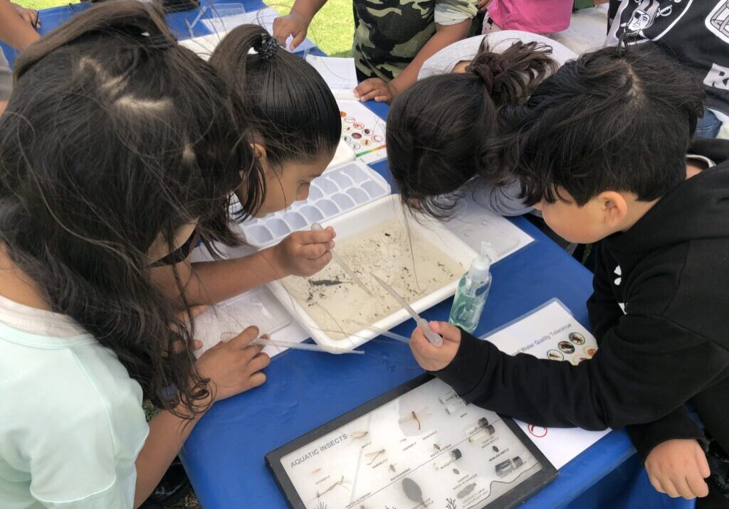 WATER RB Kids Looking At invertebrates. OB SF Students huddle together to look at invertebrates in River water.