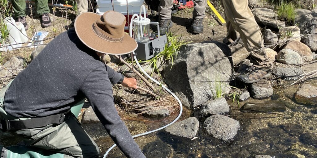 eDNA Team members use special tools to collect water samples that will be reviewed in a lab for species DNA.